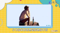 小卡拉米什么意思
