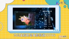 六公主是什么梗