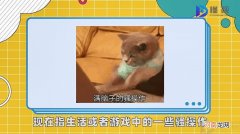 乌鸦坐飞机是什么梗