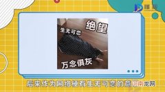 人间不值得是什么梗