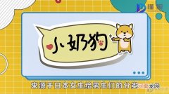 小奶狗指的是什么