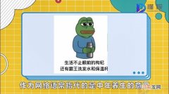 保温杯里泡枸杞是什么梗