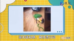 毫无违和感是什么意思