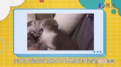 见光死是什么梗