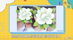 忙内是什么意思