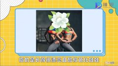 金刚芭比是什么梗
