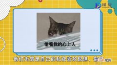 私生饭指的是什么