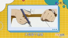 肖四肖八是什么