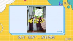 哈拉少是什么梗
