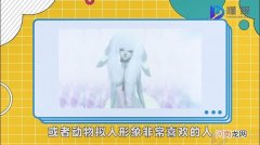 福瑞控是什么意思