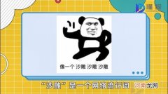 沙雕是什么意思