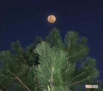 关于父母的心酸文案 父母感情不好的文案