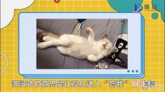 沉浸式是什么意思