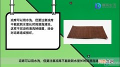 凉席可以用水洗吗