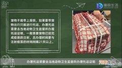 高铁可以带宠物吗