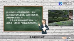 地上长青苔很滑怎么处理