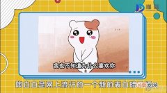 陶白白是什么梗