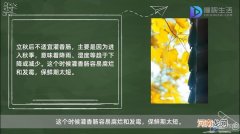立秋后可以灌香肠吗