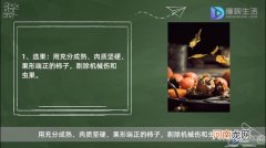 柿子怎么晒成柿子饼