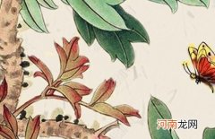 2023年属兔的取名用什么偏旁字好 寓意男孩深明大义的名字