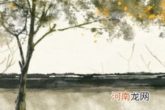 虎年胡姓女宝宝取名大全2022年最热款 寓意拥有纯洁的心灵