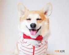 开心一笑简短经典笑话 开心一笑 经典笑话段子