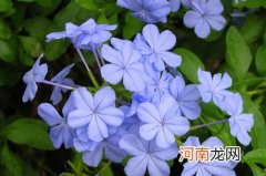 2022年11月29日出生是什么命 虎年适合五行土旺的男孩名字