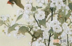 2022虎年缺金男孩名字大全 属虎男孩一听就很霸气的名字