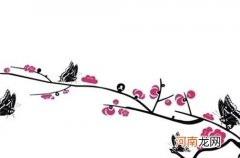 2022年柳姓女孩取名大全免费 虎年好听有趣的女孩名字精选