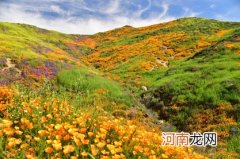 2023年今年男宝宝取什么名字好 属兔有寓意的楚辞取名