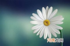 2022年高贵而圣洁的女孩名字 虎年一听就很温柔的女生名字