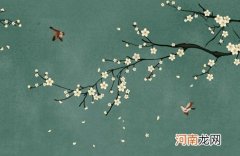 2023年出生聪明好学的男孩起名 兔年一听就很有才华的名字