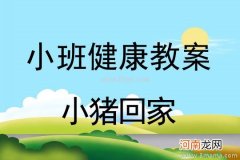 小班美术活动画小猪教案反思