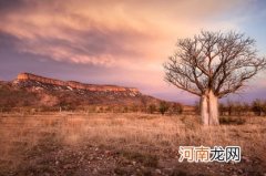2022年好听的谭姓女宝宝名字 虎年含有诗意的名字女孩