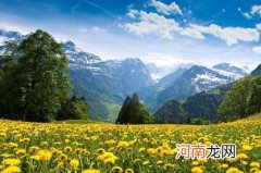 2022年有诗情画意的女孩名字 一听就印象深刻的名字