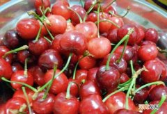 车厘子假冰是什么意思