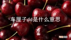 车厘子dd是什么意思