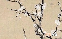 2022年10月13日出生是什么命 属虎刘姓女宝宝名字顺口好听