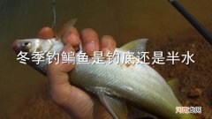 冬季钓鳊鱼是钓底还是半水