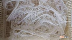 黑千层和白千层的区别