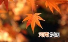 春分秋分是什么意思优质