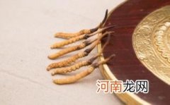 冬虫夏草偶尔吃有效果吗优质