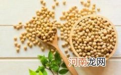 黑大豆的作用优质