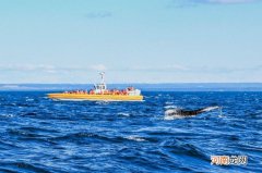 世界上最小的岛叫什么名字 世界上最小的岛