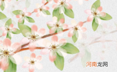 2023年霸气有涵养的男孩名字 兔年按照八字起什么名字