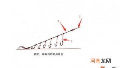 钓翘嘴泥鳅怎么挂钩 泥鳅钓翘嘴鱼的技巧