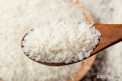 中国好大米排行榜 全国最好吃的大米排名