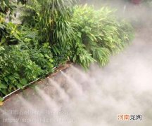 关于鸡棚专用喷雾加湿水嘴的信息