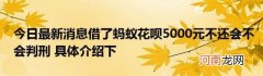 今日最新消息借了蚂蚁花呗5000元不还会不会判刑具体介绍下