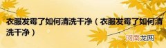 衣服发霉了如何清洗干净 衣服发霉了如何清洗干净